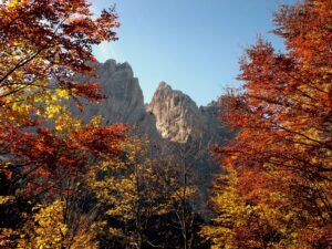 Montagne automne