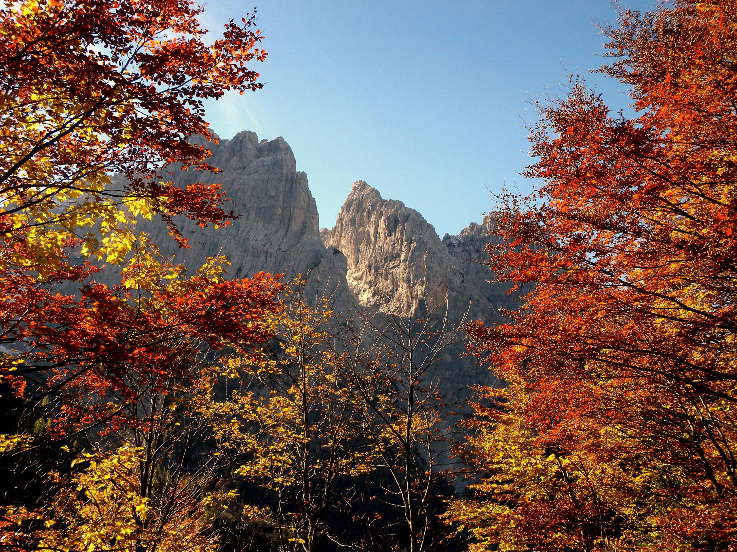Montagne automne